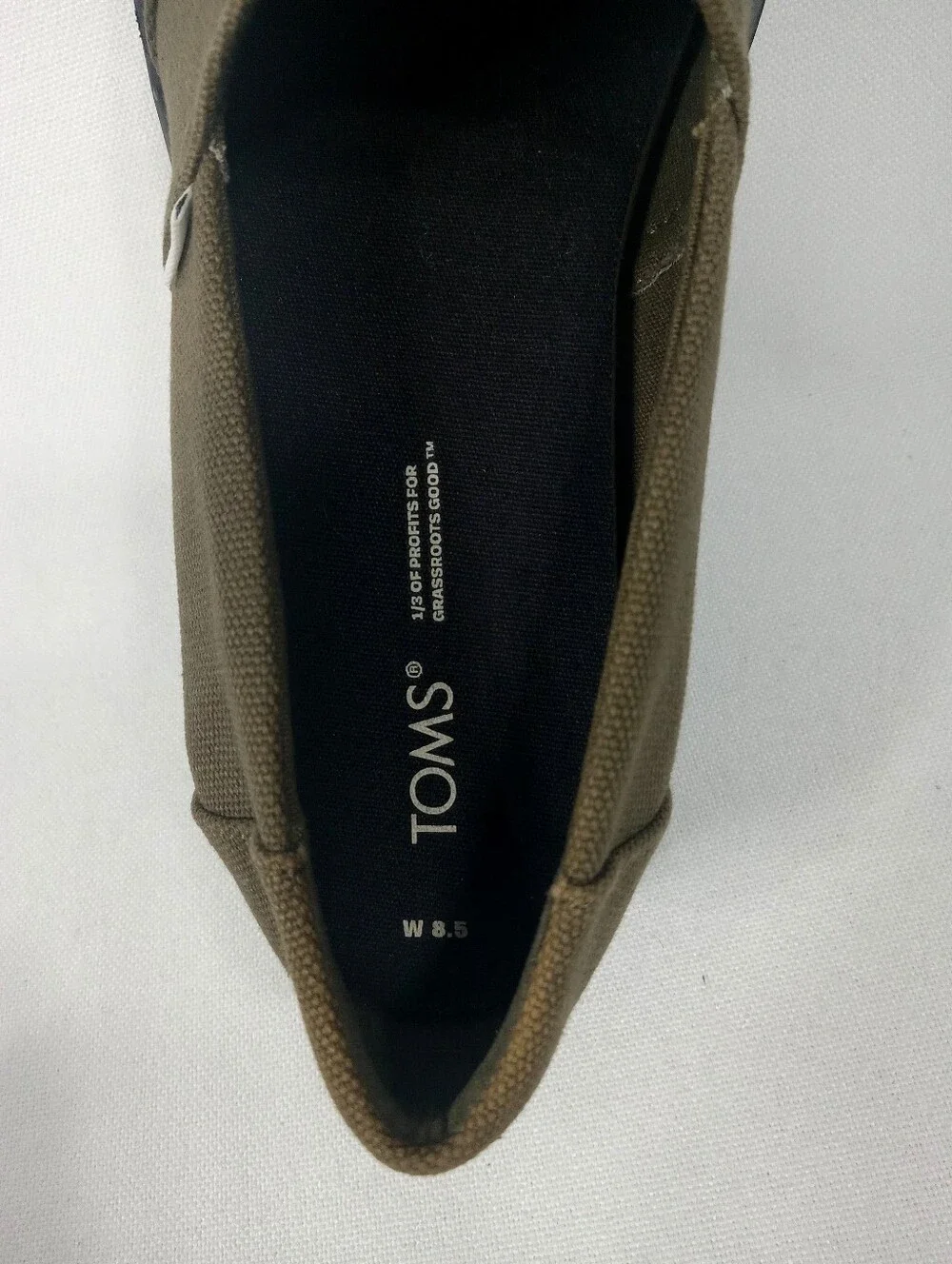 Toms comlow sneaker
